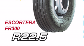 Новые грузовые шины Bel-358 Escortera FR300