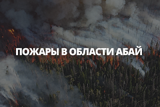 ЭЙКОС помогает в борьбе с пожарами в области Абай