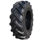 TIMP R1